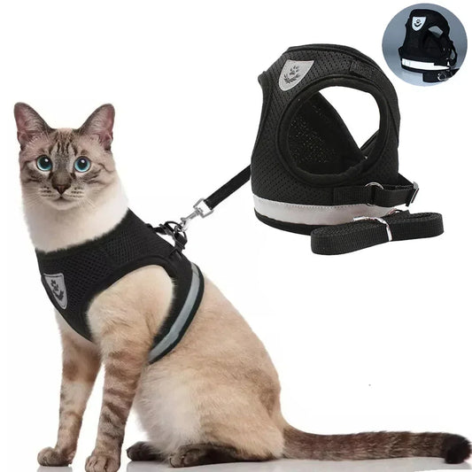Pawlio Reflective Cat Harness & Leash