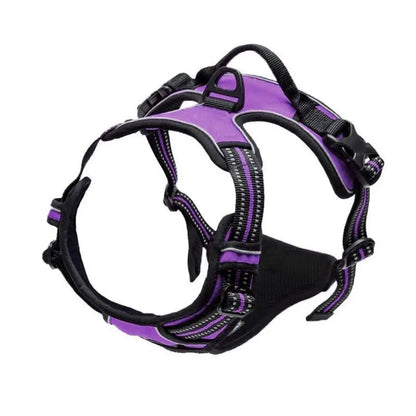Pawlio Front-Clip Reflective Harness