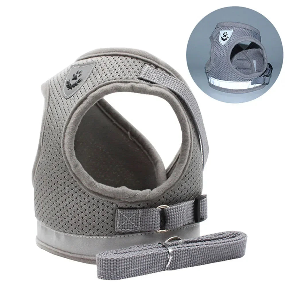 Pawlio Reflective Cat Harness & Leash