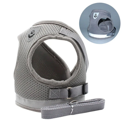 Pawlio Reflective Cat Harness & Leash