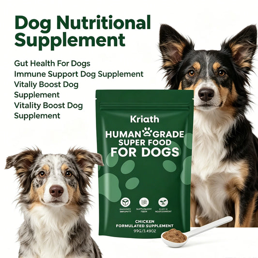 Pawlio Daily Gut Support Powder for Dogs