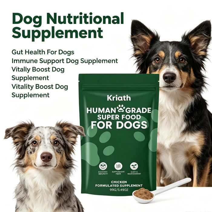 Pawlio Daily Gut Support Powder for Dogs