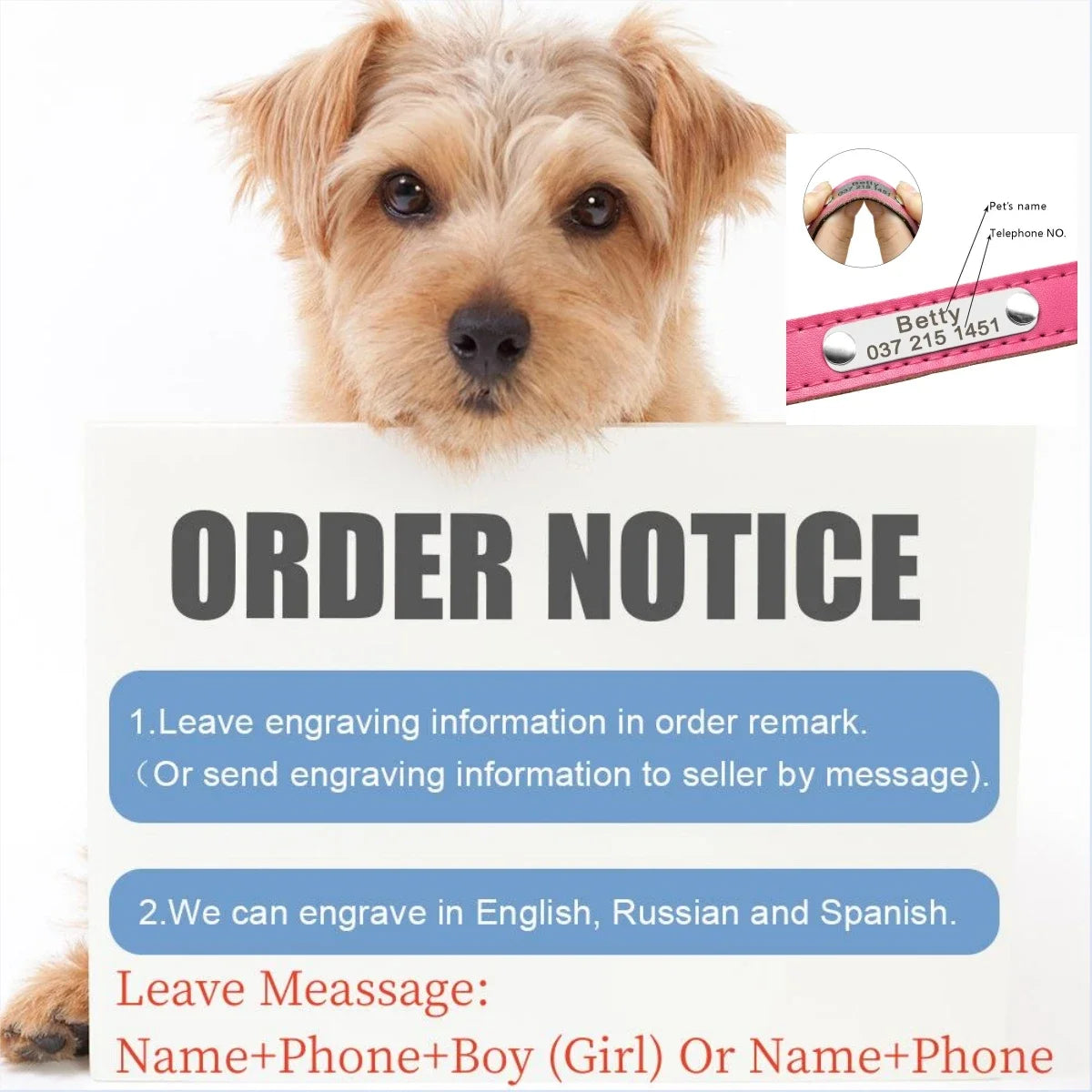 Pawlio Personalized ID Dog Collar