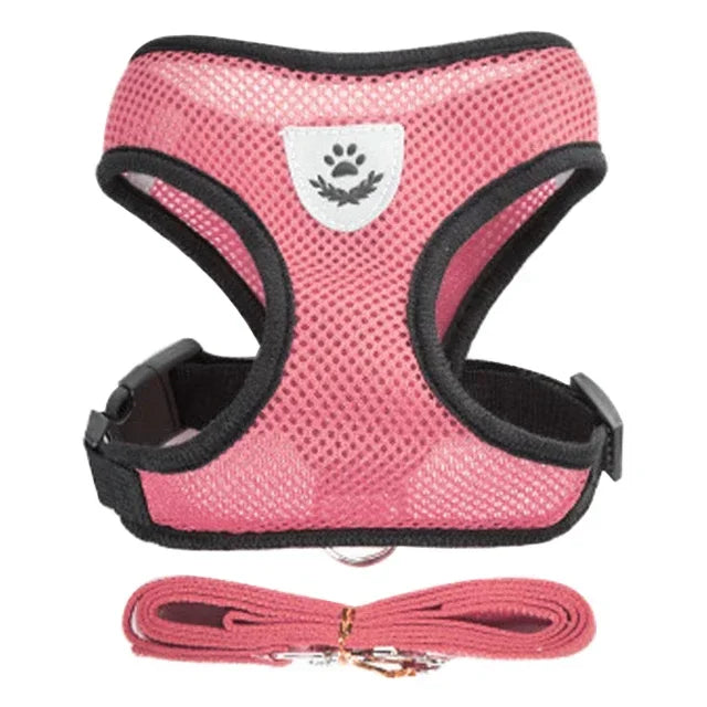 Pawlio Mesh Harness & Leash Set