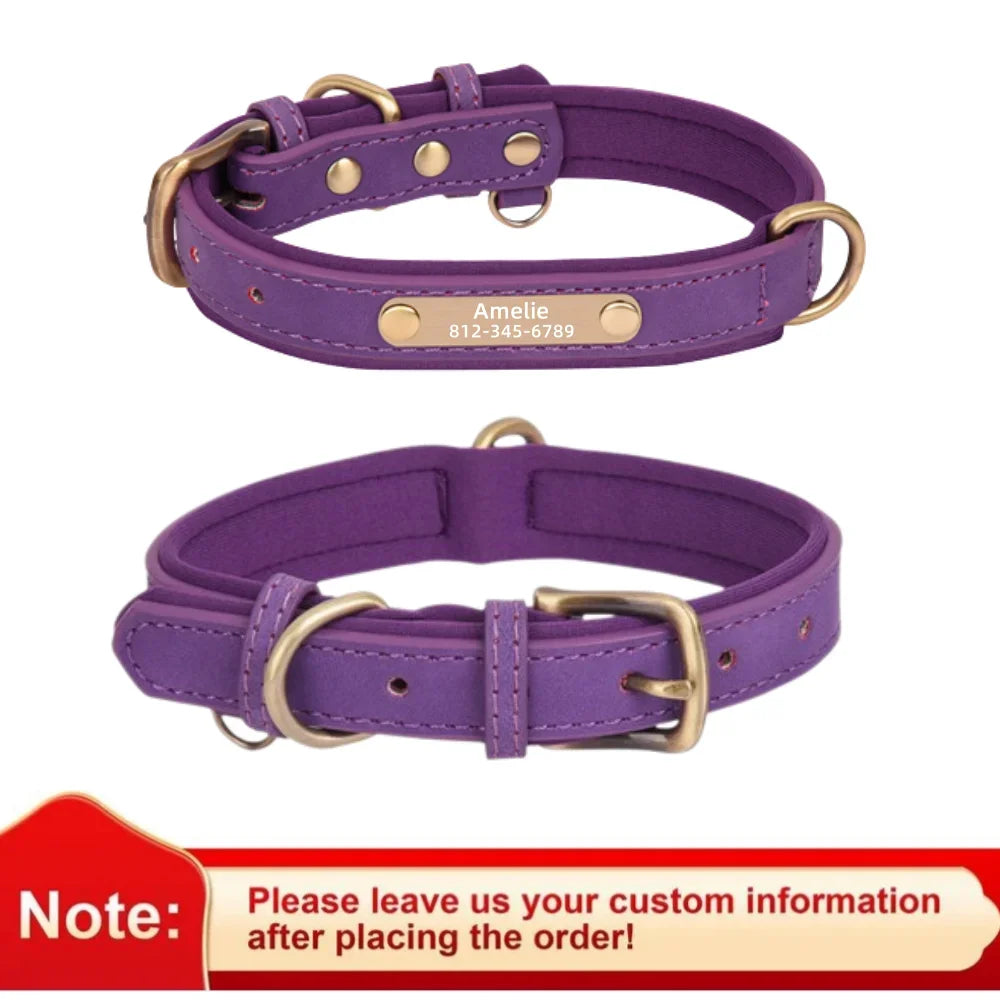 Pawlio Personalized ID Dog Collar