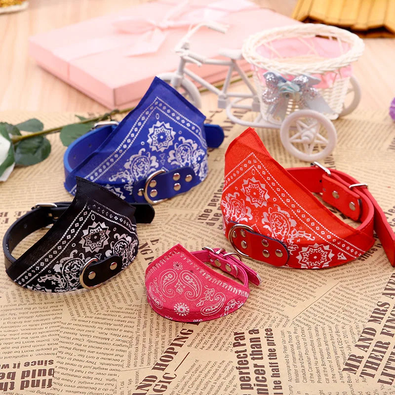 Pawlio Bandana Dog & Cat Collar