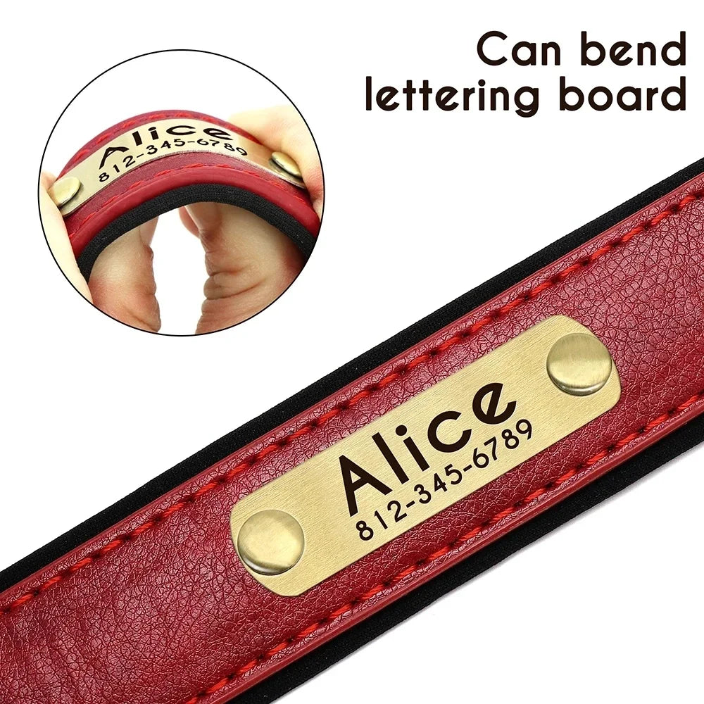 Pawlio Personalized ID Dog Collar