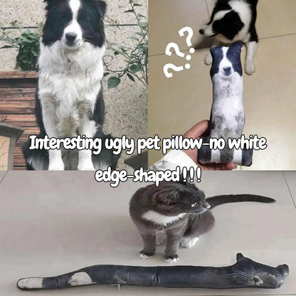 Pawlio Custom Pet Portrait Pillow