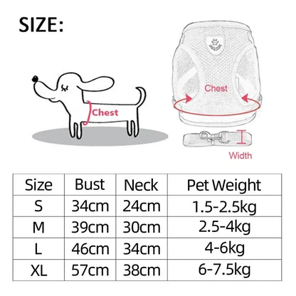 Pawlio Mesh Harness & Leash Set