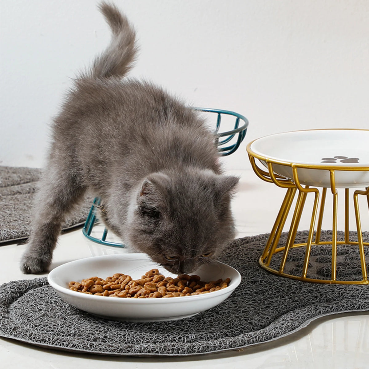 Pawlio Elevated Ceramic Pet Bowl