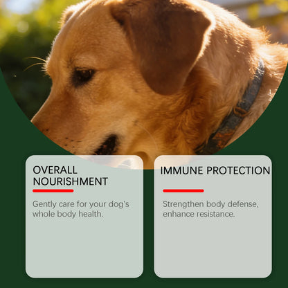 Pawlio Daily Gut Support Powder for Dogs