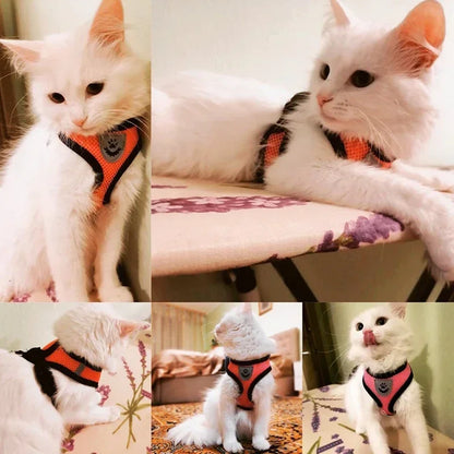 Pawlio Mesh Harness & Leash Set