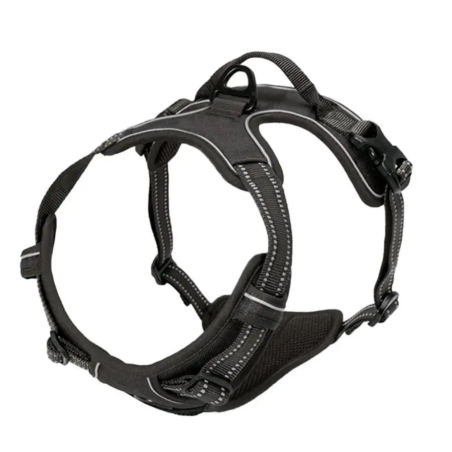 Pawlio Front-Clip Reflective Harness