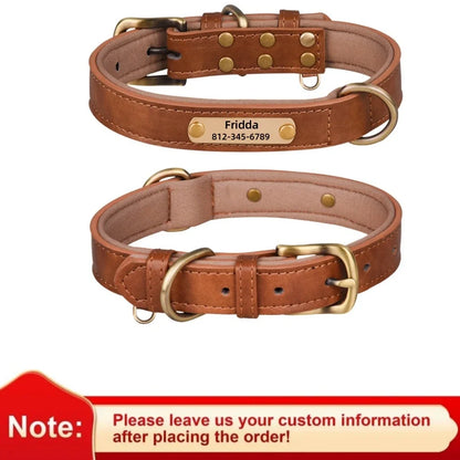 Pawlio Personalized ID Dog Collar