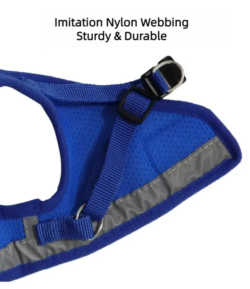 Pawlio Reflective Cat Harness & Leash