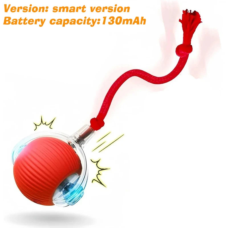 Pawlio Smart Rolling Ball