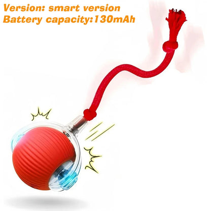 Pawlio Smart Rolling Ball