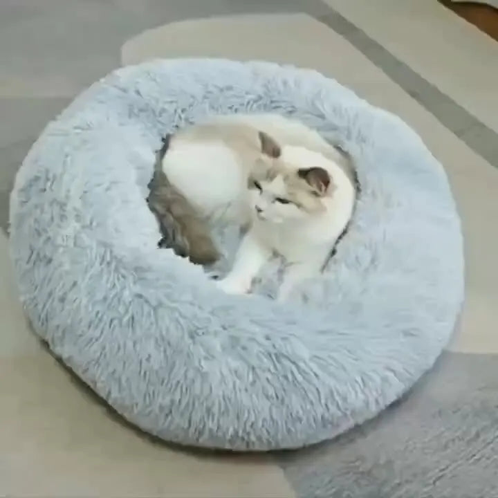 Pawlio Plush Round Pet Bed