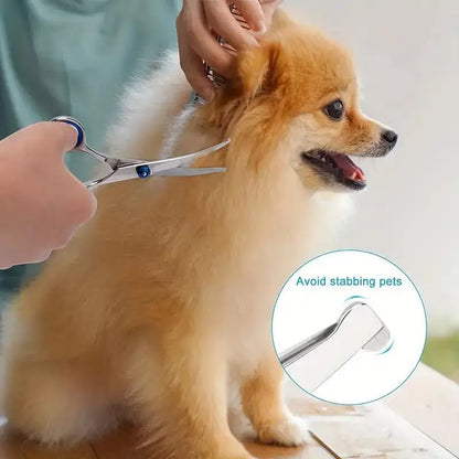Pawlio Pet Grooming Scissors Set