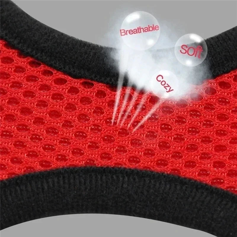 Pawlio Mesh Harness & Leash Set