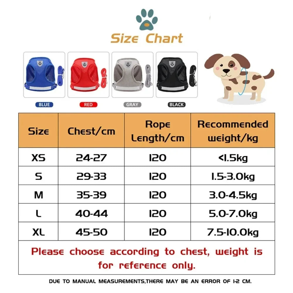 Pawlio Reflective Cat Harness & Leash