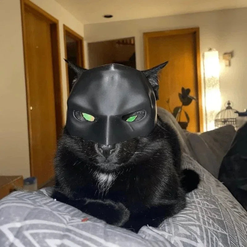 Pawlio Cat Bat Mask