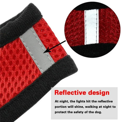 Pawlio Mesh Harness & Leash Set