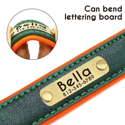 Pawlio Personalized ID Dog Collar