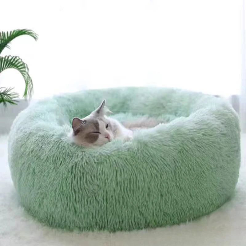 Pawlio Plush Round Pet Bed