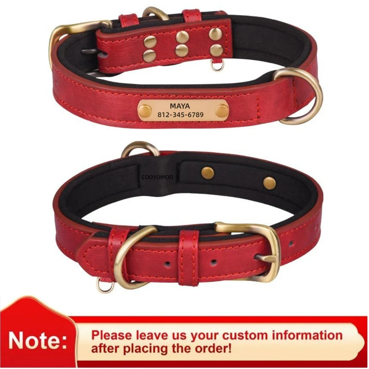 Pawlio Personalized ID Dog Collar