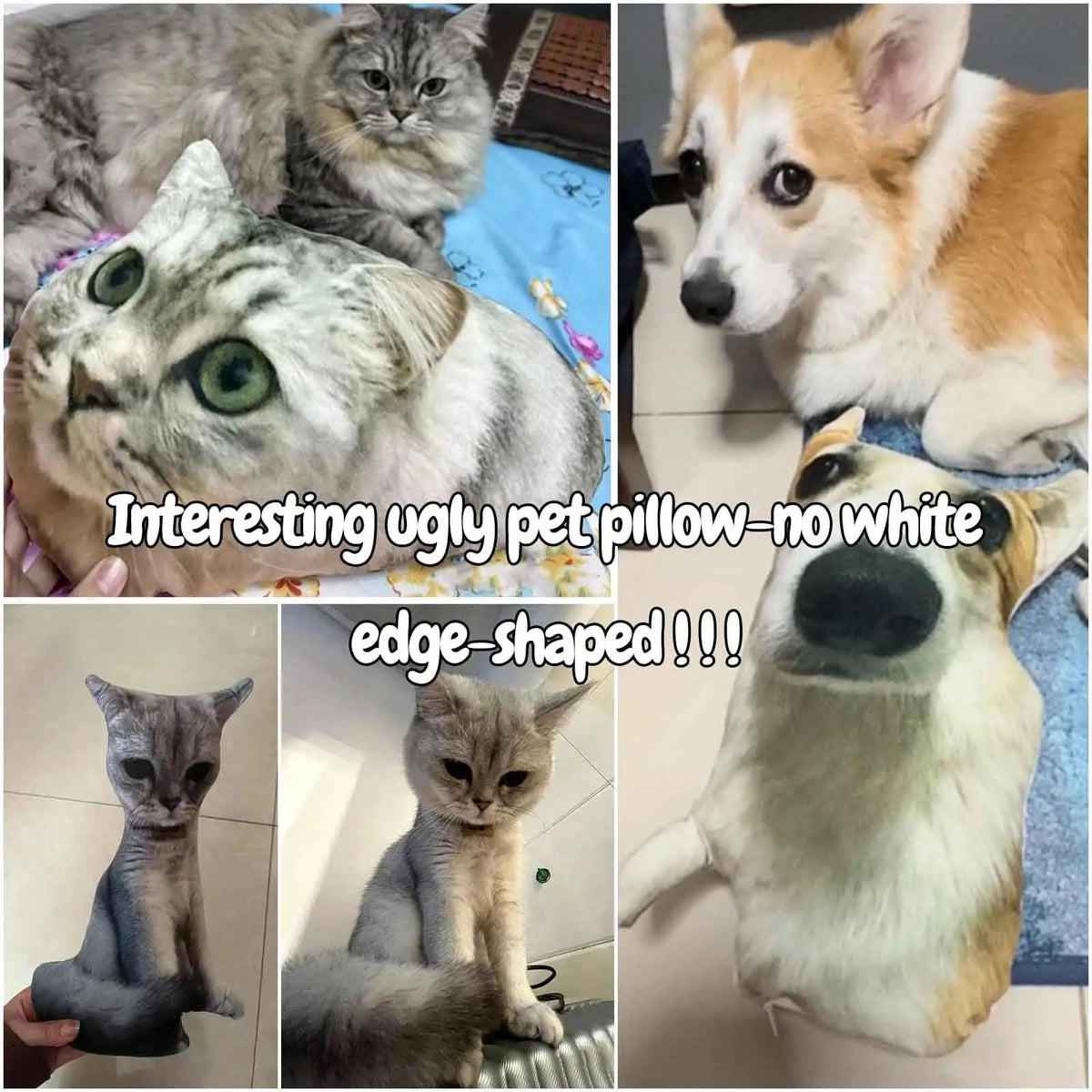 Pawlio Custom Pet Portrait Pillow