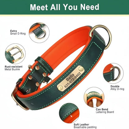 Pawlio Personalized ID Dog Collar