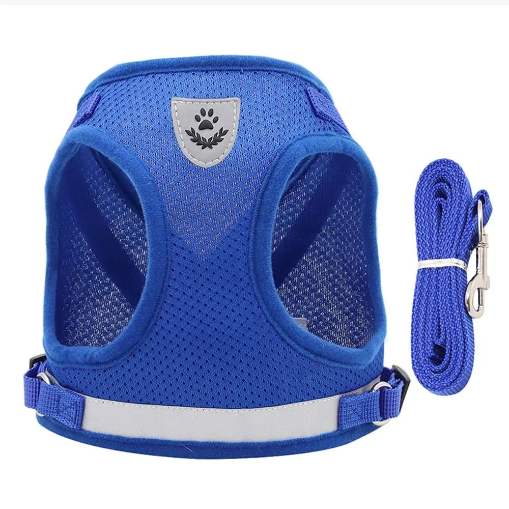 Pawlio Reflective Cat Harness & Leash