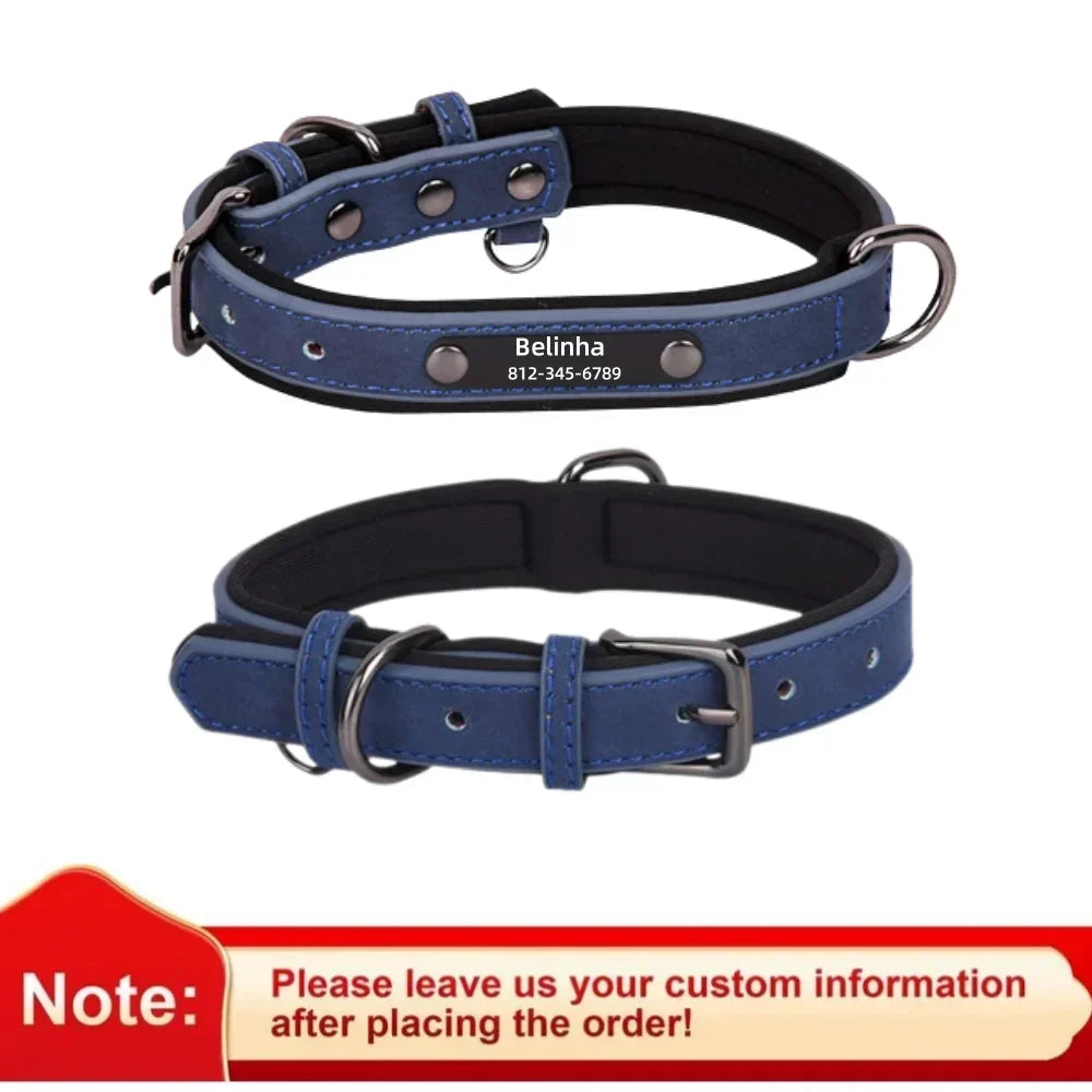Pawlio Personalized ID Dog Collar