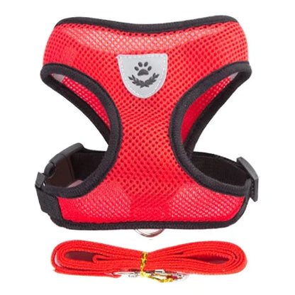 Pawlio Mesh Harness & Leash Set