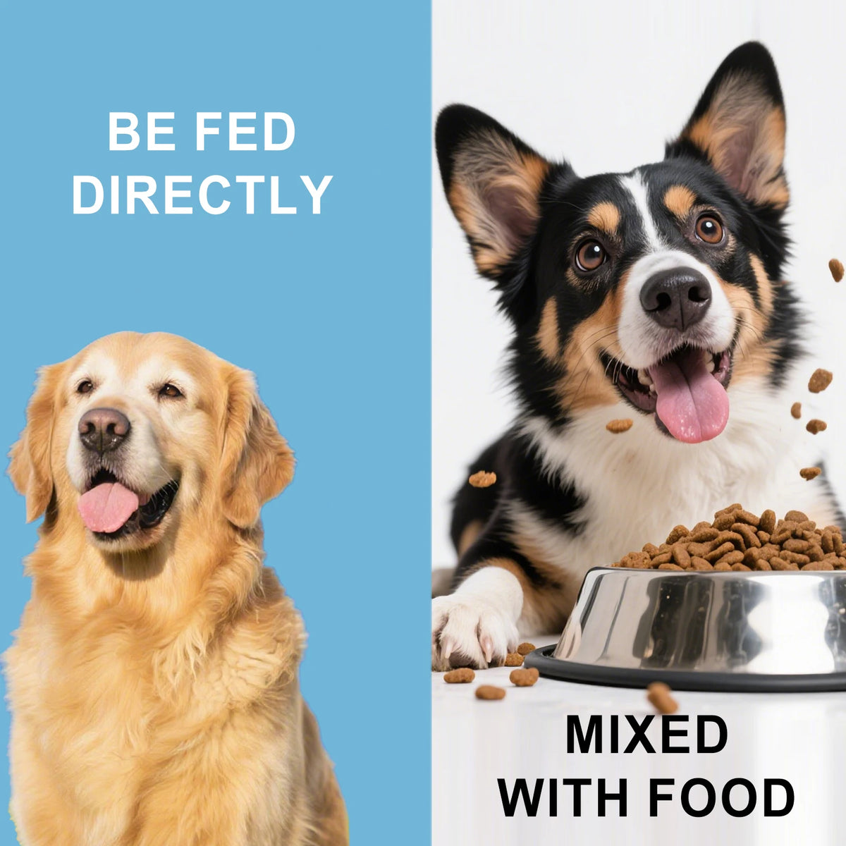 Pawlio Daily Gut Support Powder for Dogs