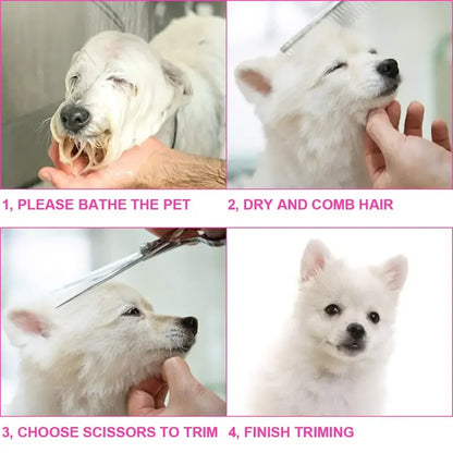 Pawlio Pet Grooming Scissors Set