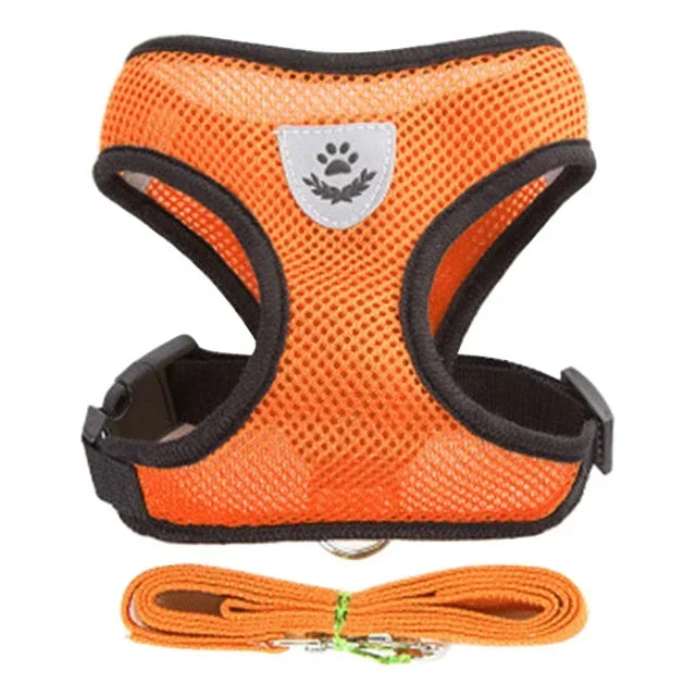 Pawlio Mesh Harness & Leash Set