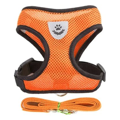Pawlio Mesh Harness & Leash Set
