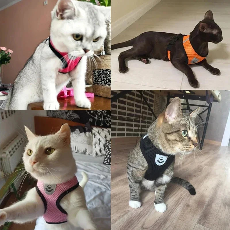 Pawlio Mesh Harness & Leash Set