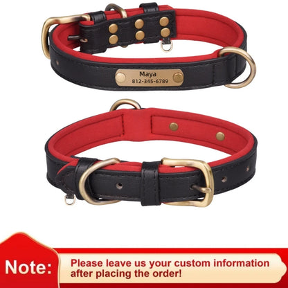Pawlio Personalized ID Dog Collar