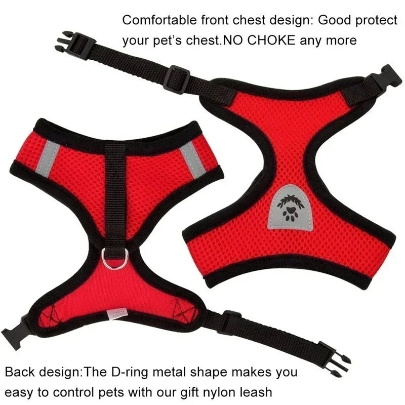 Pawlio Mesh Harness & Leash Set