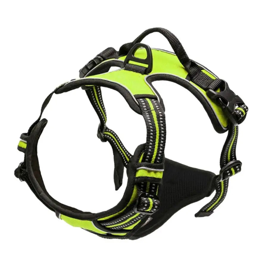 Pawlio Front-Clip Reflective Harness