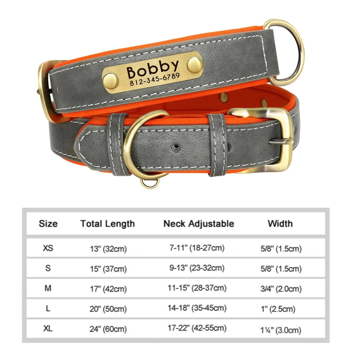 Pawlio Personalized ID Dog Collar