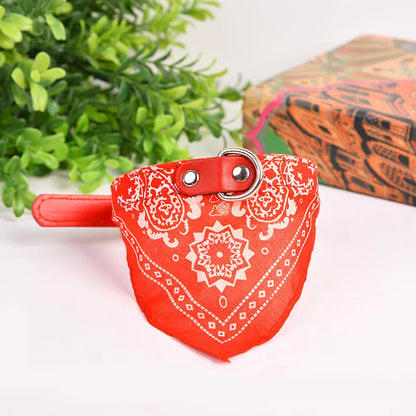 Pawlio Bandana Dog & Cat Collar