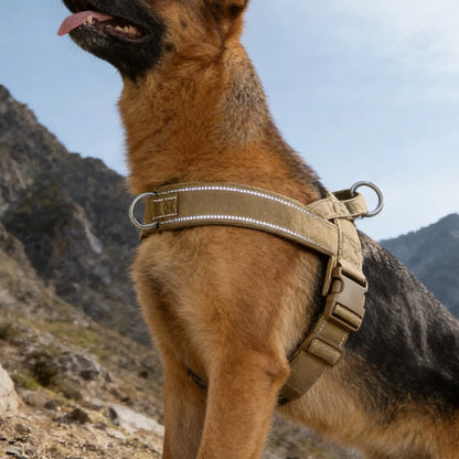 Pawlio Heavy-Duty Reflective Harness