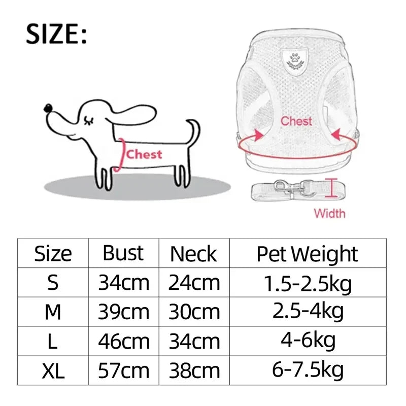 Pawlio Mesh Harness & Leash Set