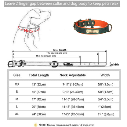 Pawlio Personalized ID Dog Collar