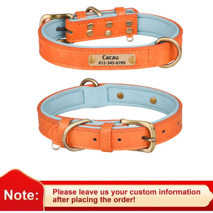 Pawlio Personalized ID Dog Collar