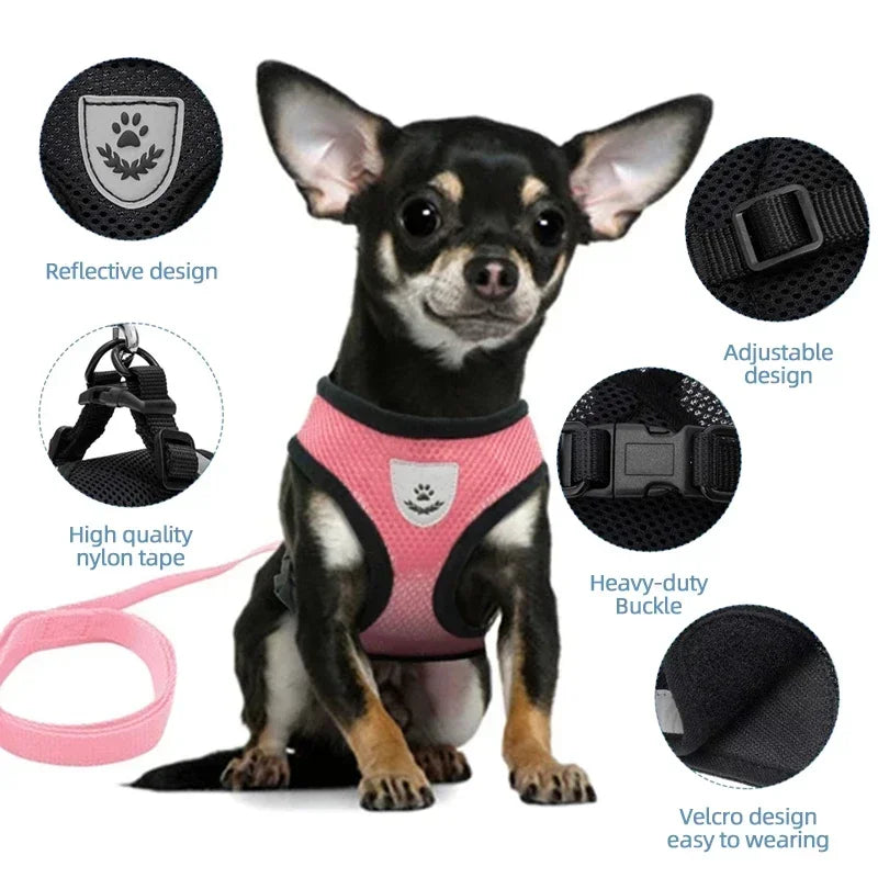 Pawlio Mesh Harness & Leash Set